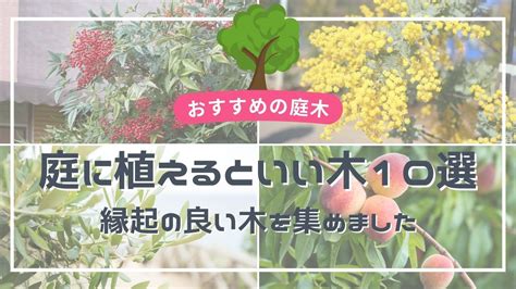 幸運木風水|庭に植えると縁起の良い木24選！運気の上がるおすすめを紹介